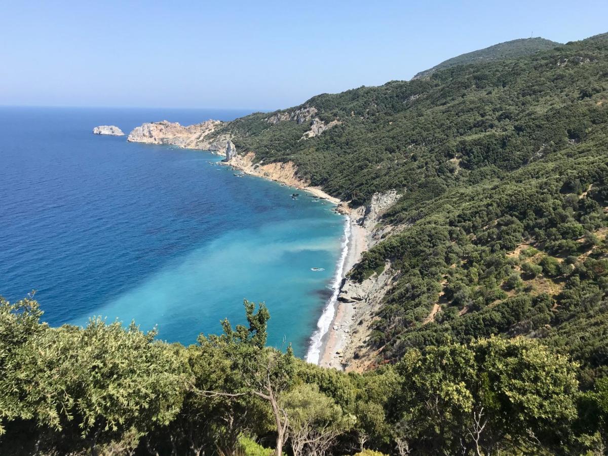 Meltemi Hotel Skiathos Town Luaran gambar